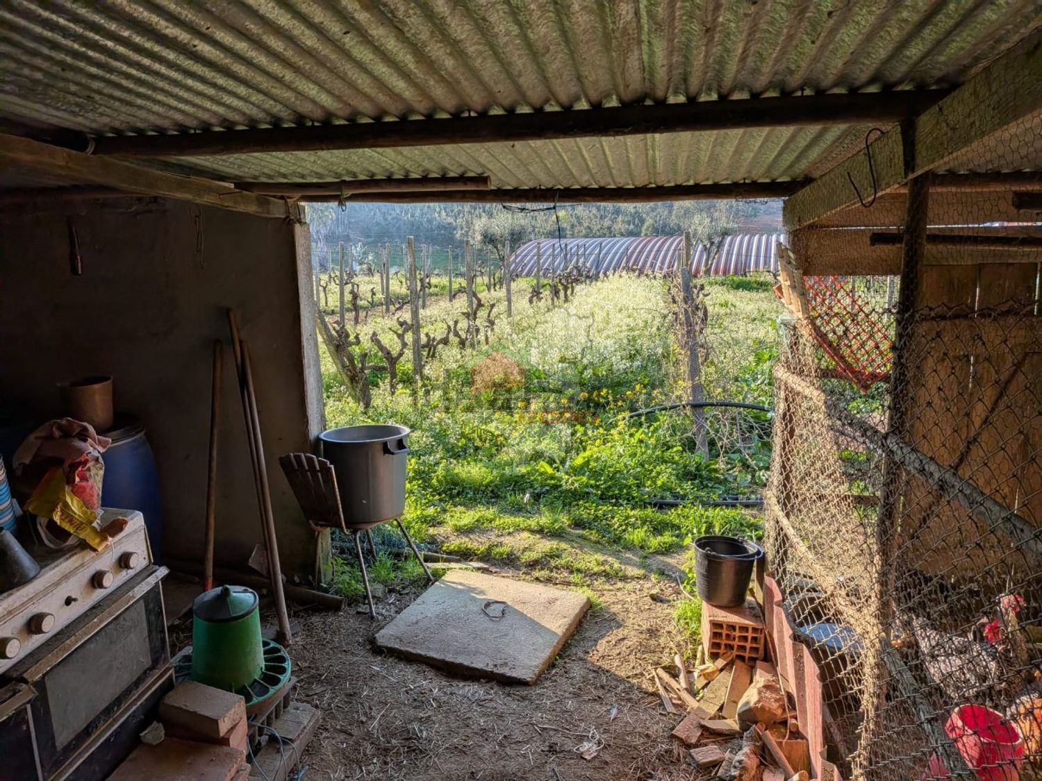 小楼房或独栋别墅出售在Cernache do Bonjardim - Nesperal - Palhais - 阳台