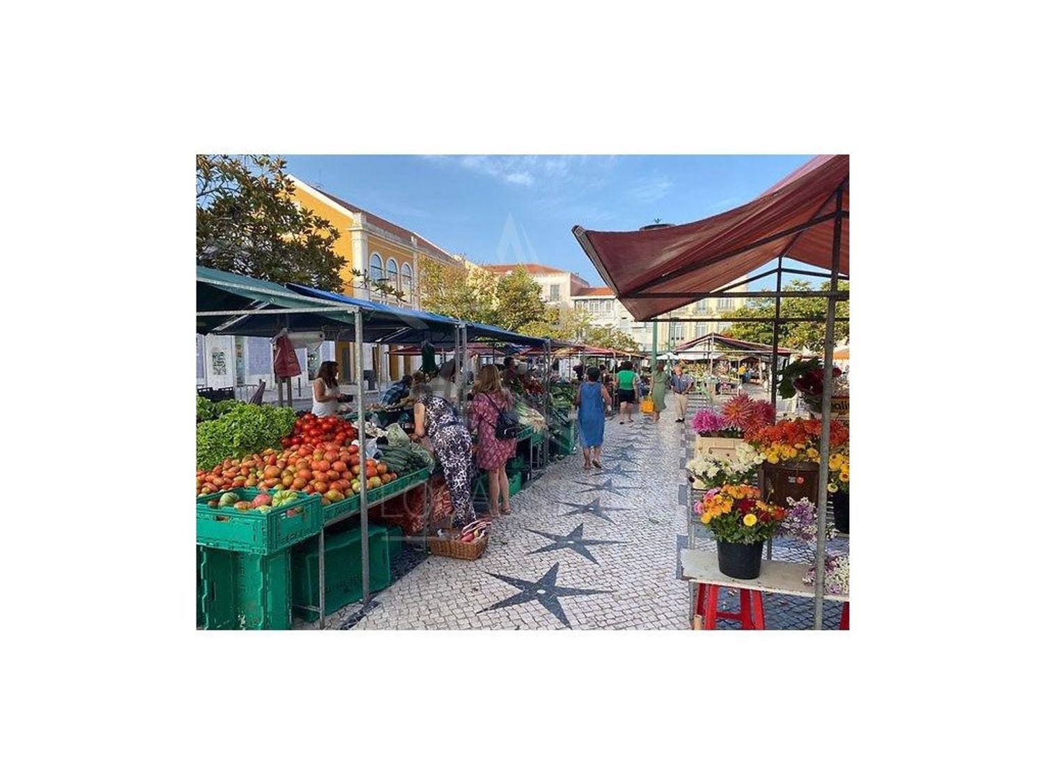 小楼房或独栋别墅出售在Rua Luís de Camões - 照片