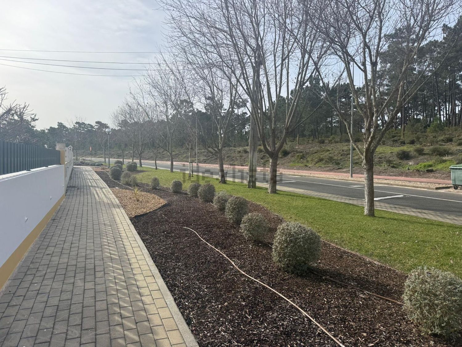 小楼房或独栋别墅出售Vila Nova de santo Andre - 花园