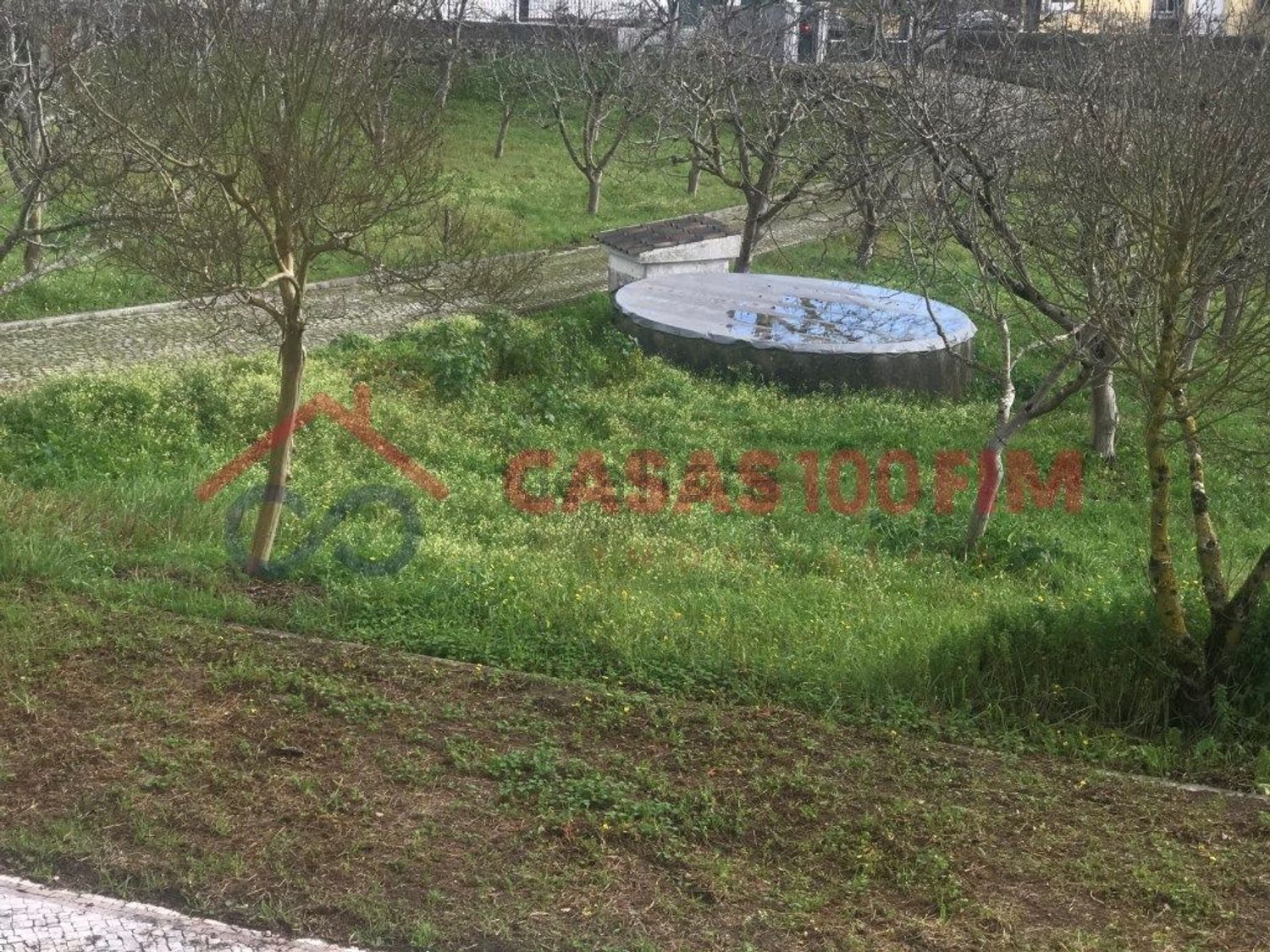 小楼房或独栋别墅出售在Rua da Fé - 花园