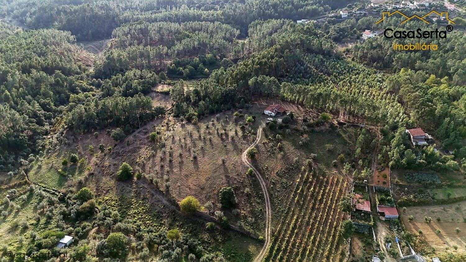 庄园出售Barrocas, Nesperal s/n - 视线