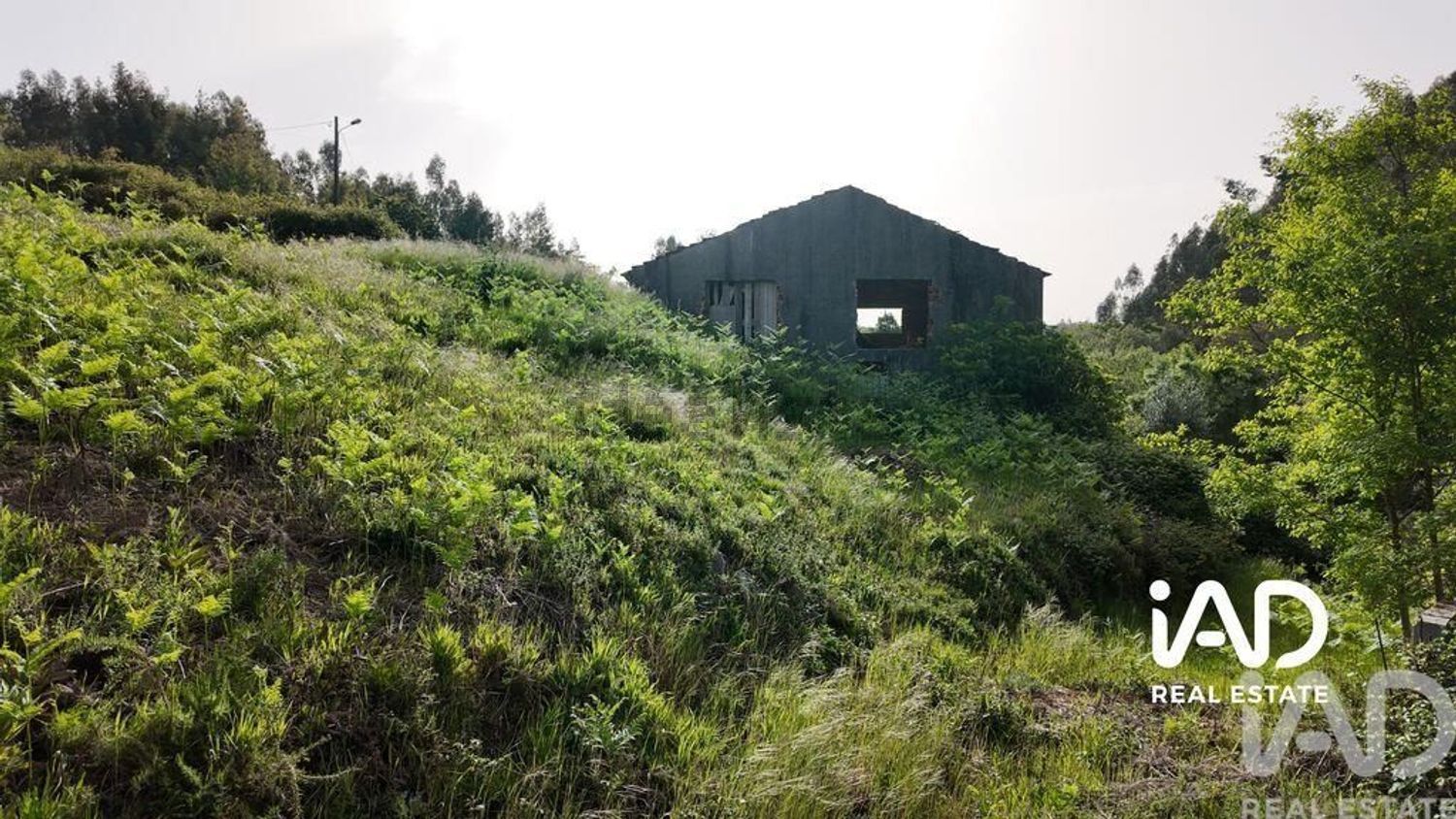 小楼房或独栋别墅出售在Graça - 外立面