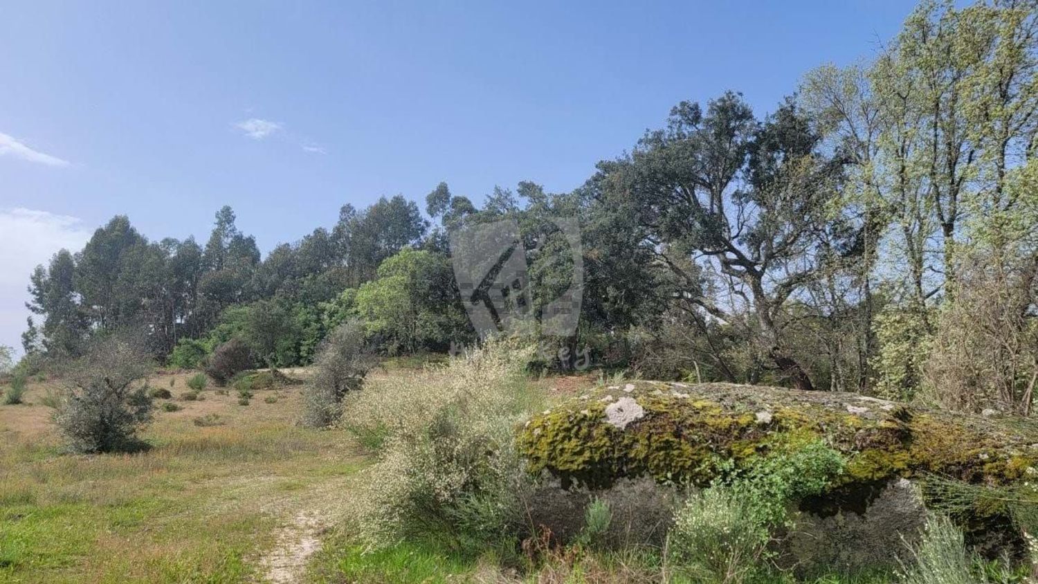 庄园出售在Aldeia do Bispo - Águas - Aldeia de João Pires - 花园