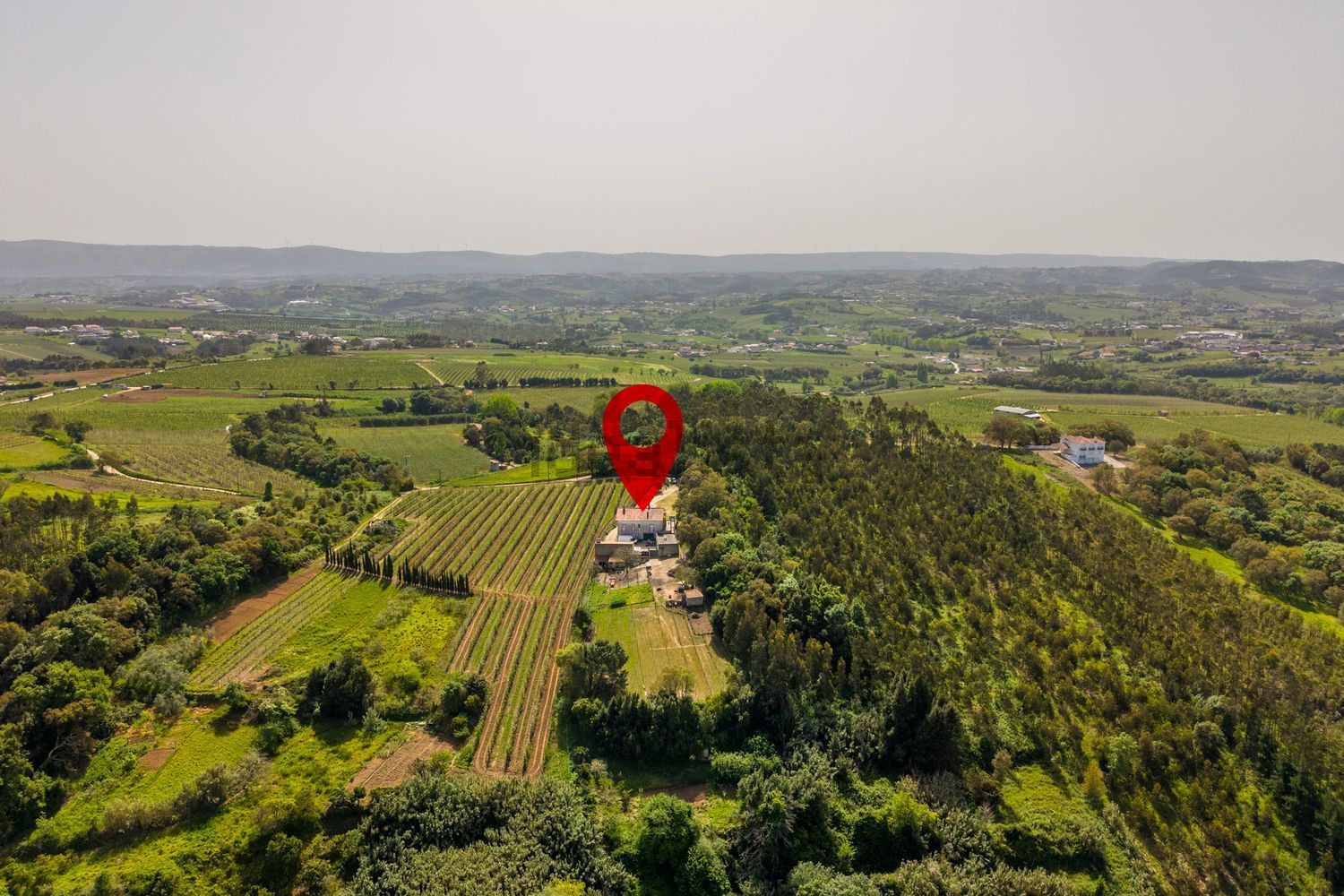 小楼房或独栋别墅出售在Rua das vinheirias 2460-352 s/n - 视线