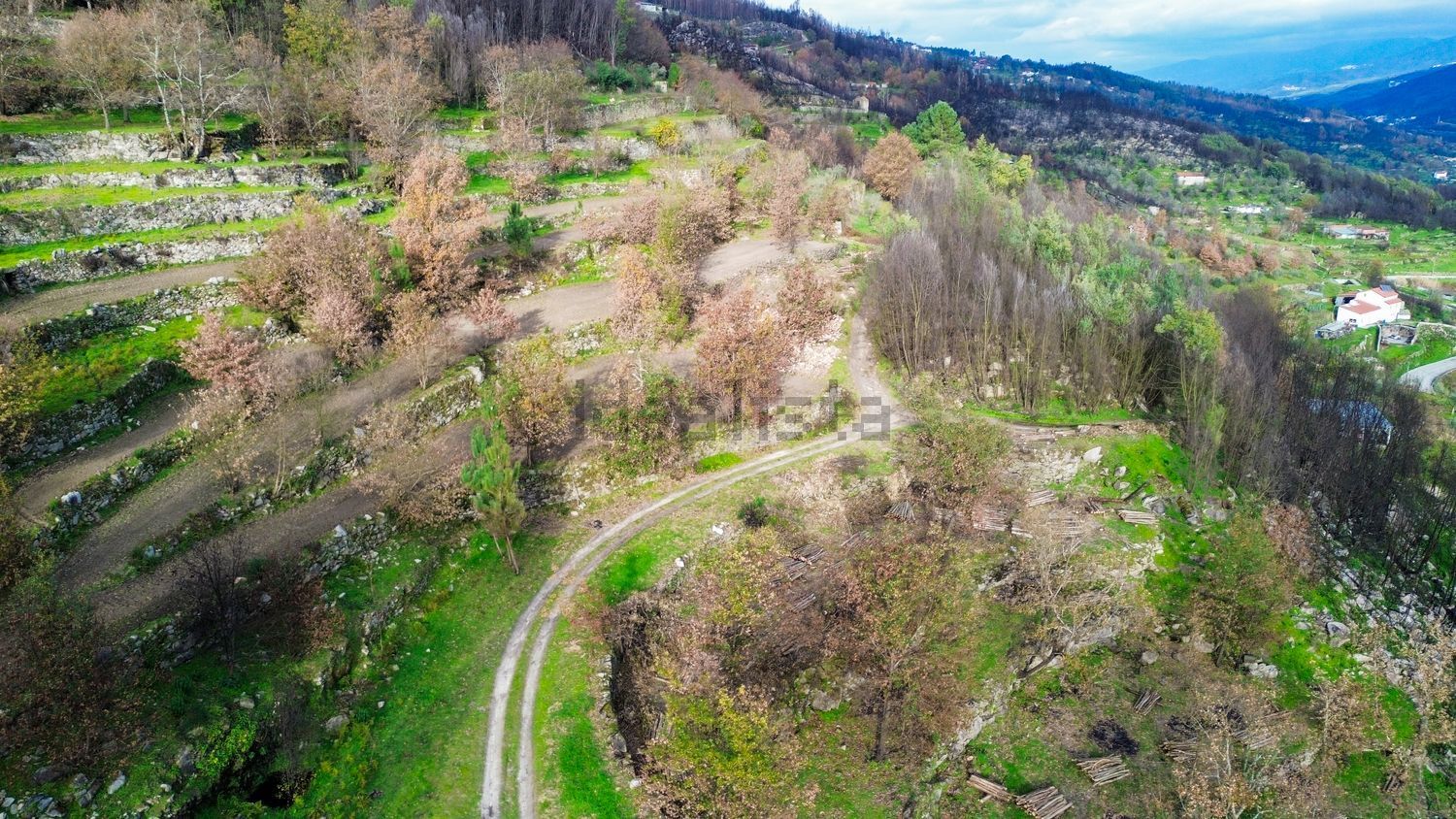 庄园出售n230 s/n - 视线