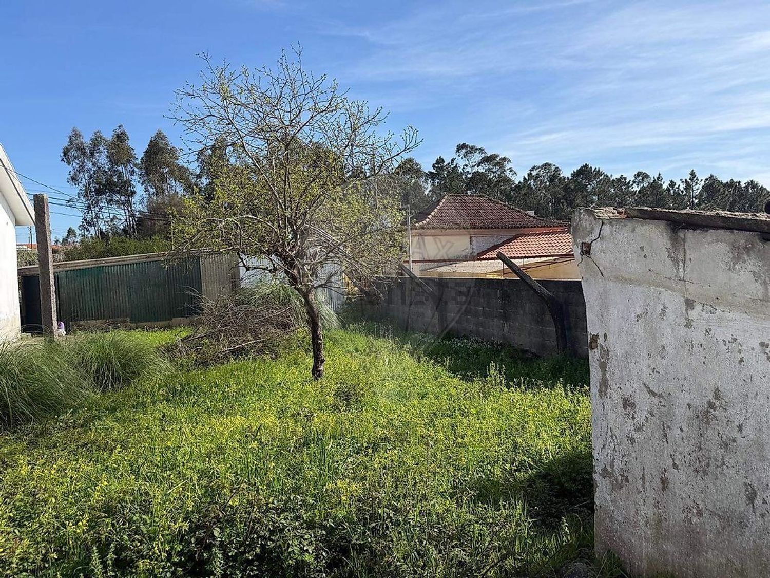 小楼房或独栋别墅出售在São Miguel de Souto - 照片