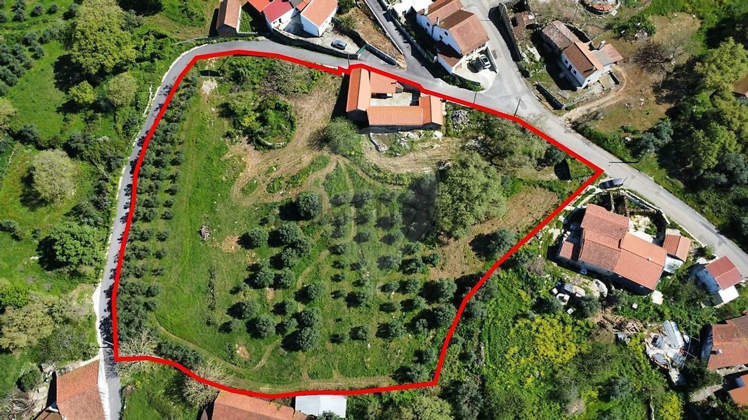 小楼房或独栋别墅出售在Évora de Alcobaça - 照片