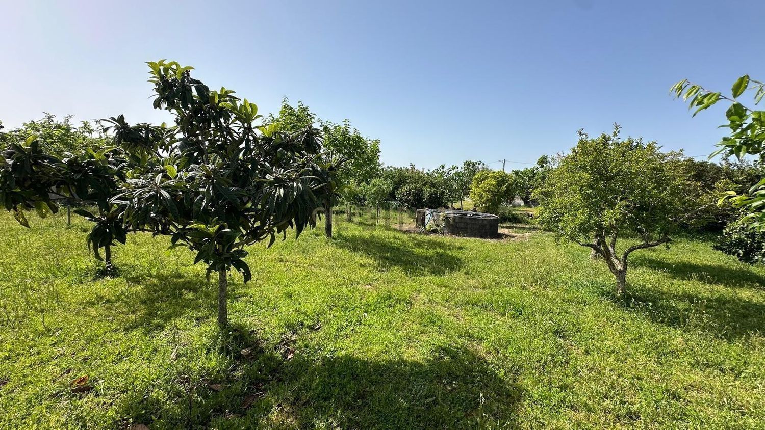 小楼房或独栋别墅出售在Rua da Estrada, 13 - 花园