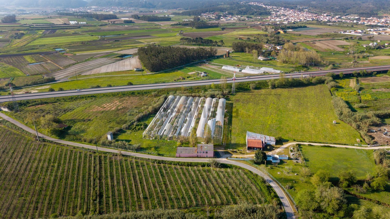 庄园出售在Amoreira - 视线