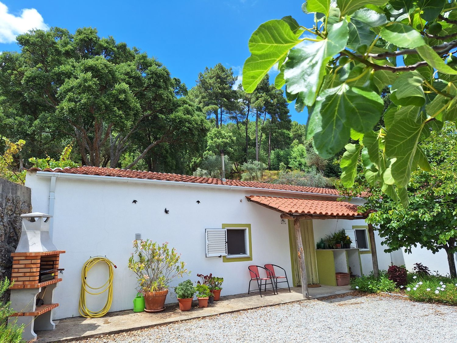 庄园出售Quinta da Barroquinha s/n - 外立面