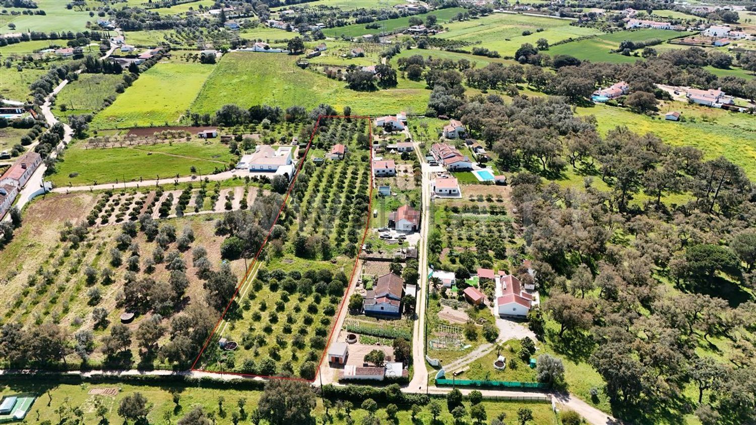 庄园出售在Santiago do Cacém - Santa Cruz - São Bartolomeu da Serra - 照片