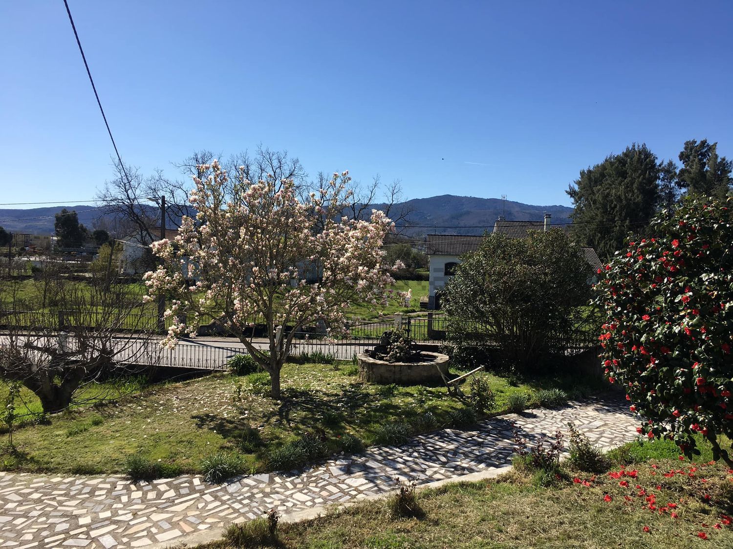双拼别墅出售Quinta da Areeira, 55 - 花园