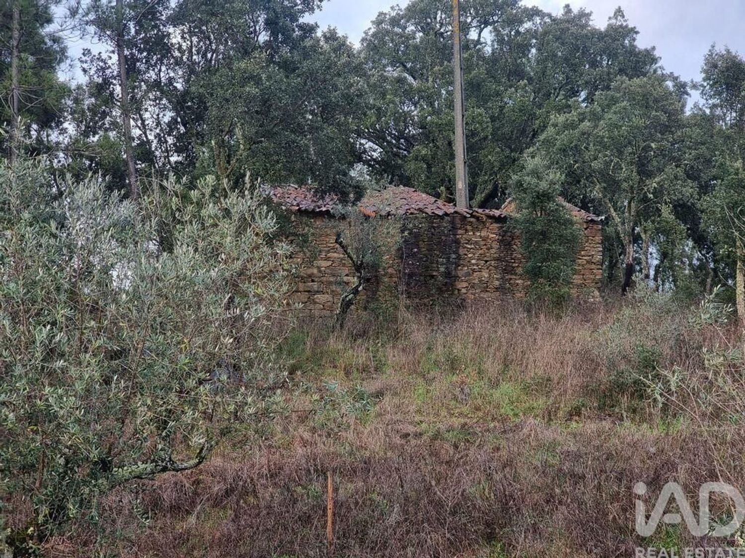 小楼房或独栋别墅出售在Cernache do Bonjardim - Nesperal - Palhais - 花园