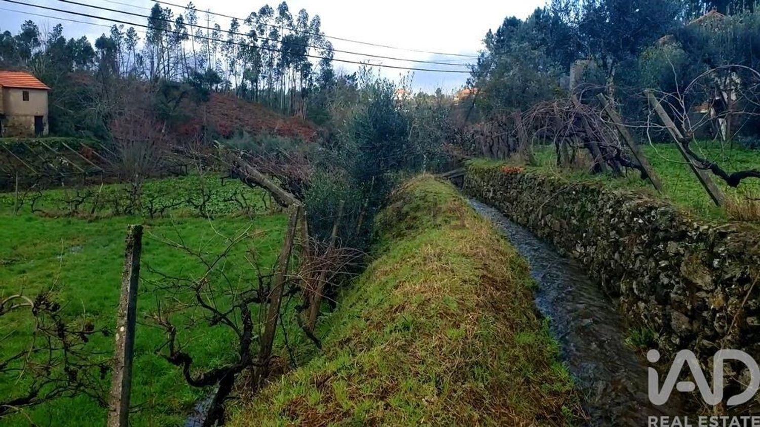 小楼房或独栋别墅出售在Sertã - 周边