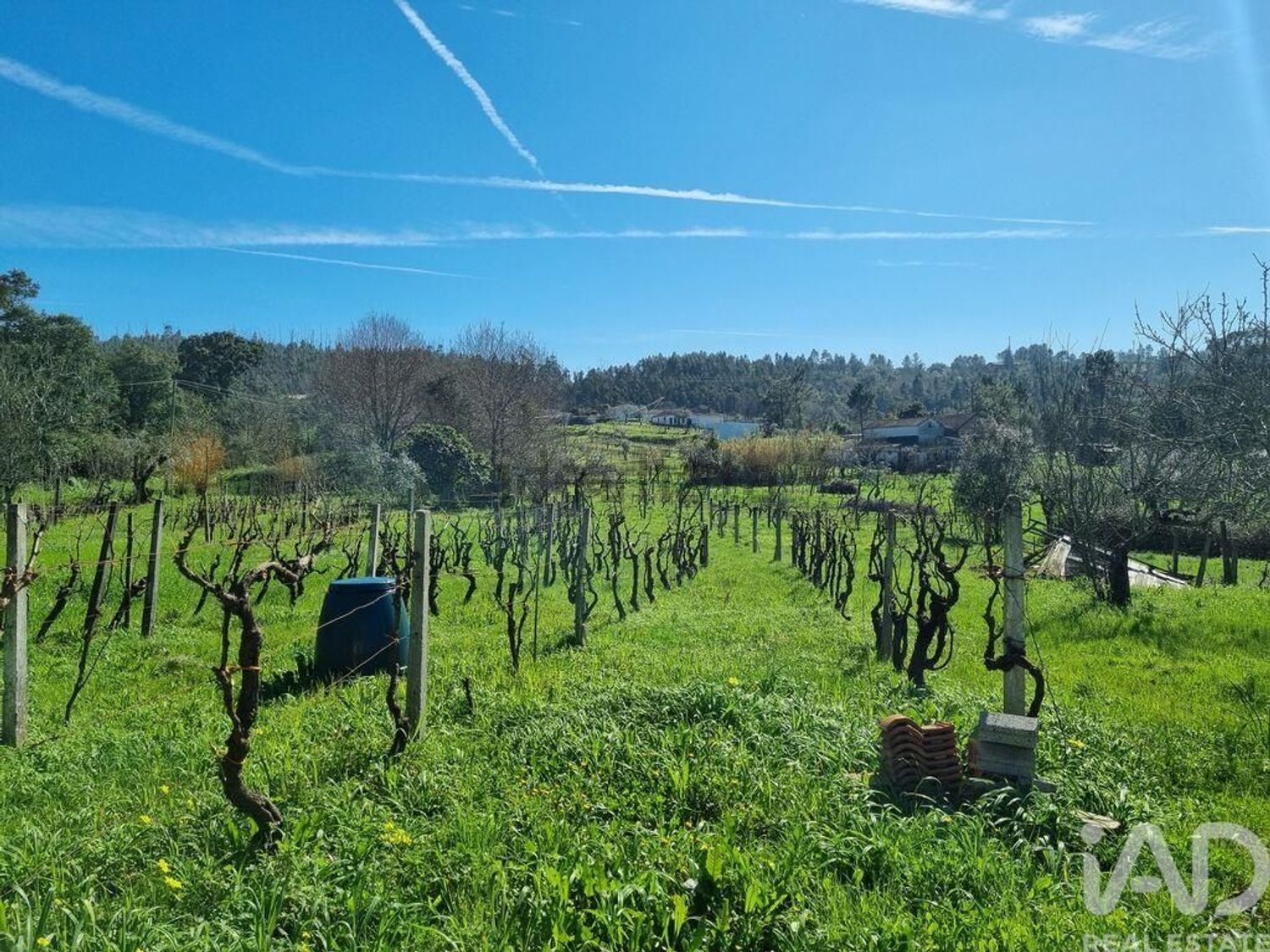 小楼房或别墅出售在São Miguel de Poiares - 花园