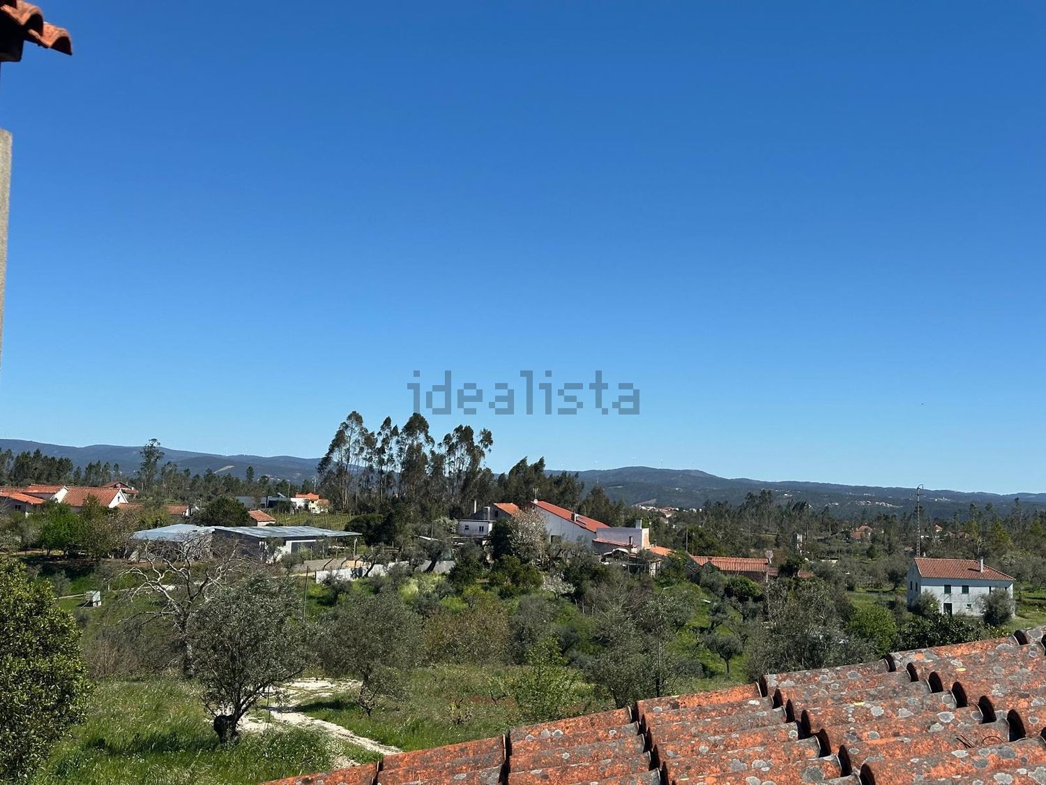 农庄出售Nesperal - 视线