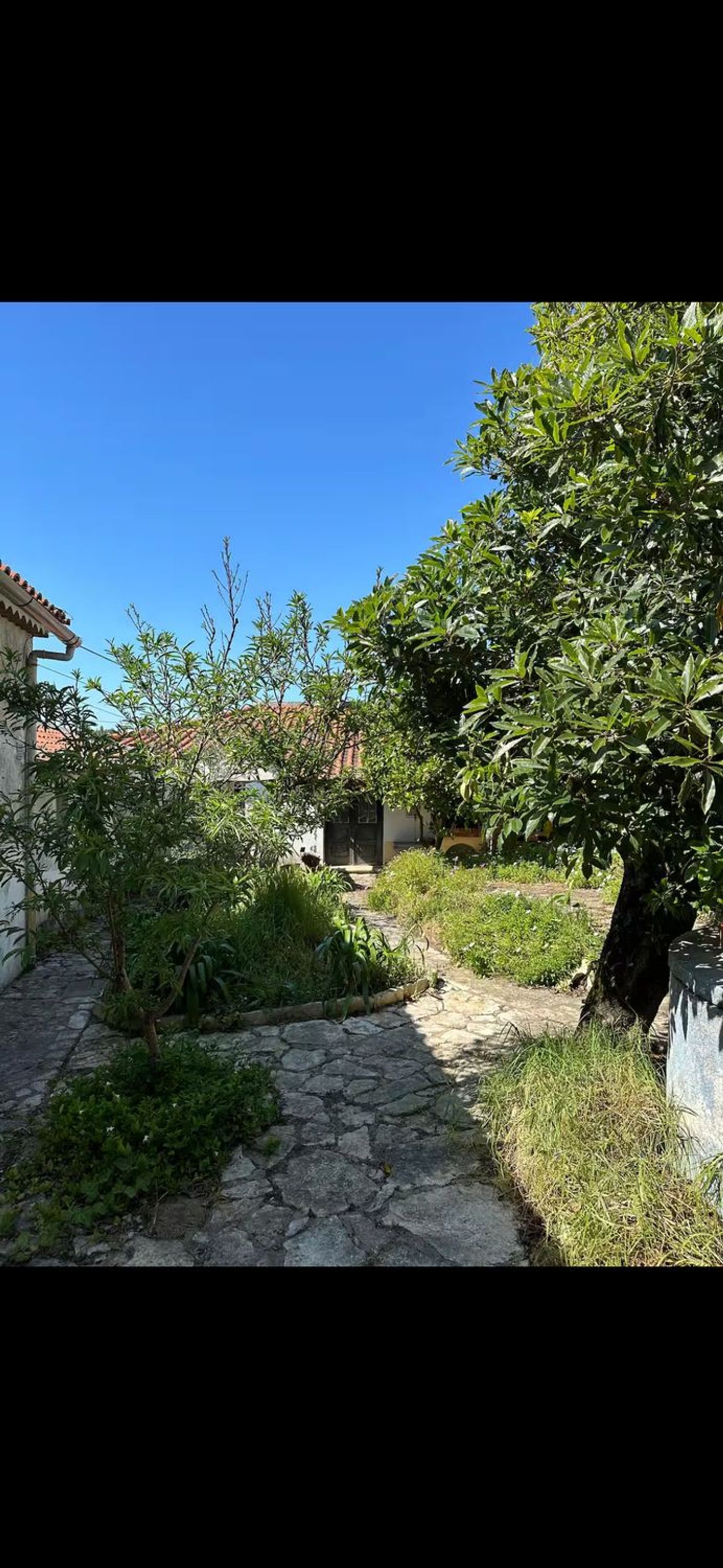 出租小楼房或独栋别墅在Nadadouro - 花园