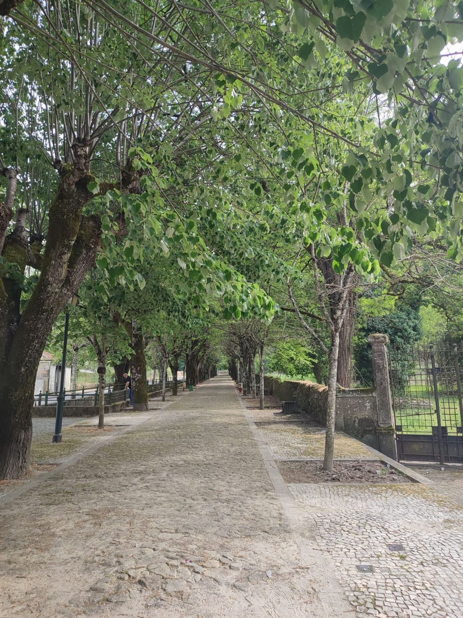 小楼房或独栋别墅出售在Travessa de Cimo do Povo, 91 - 花园