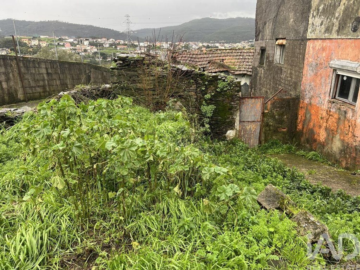 小楼房或独栋别墅出售在Campo e Sobrado - 花园
