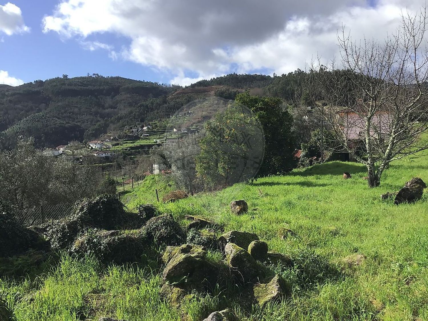 小楼房或独栋别墅出售在Vale de Bouro - 花园