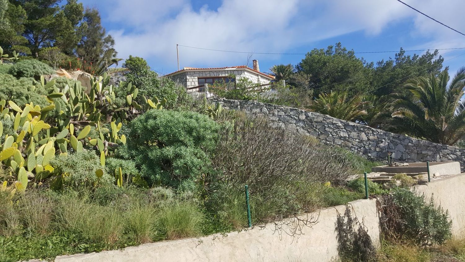 小楼房或独栋别墅出售在Porto Santo - 花园