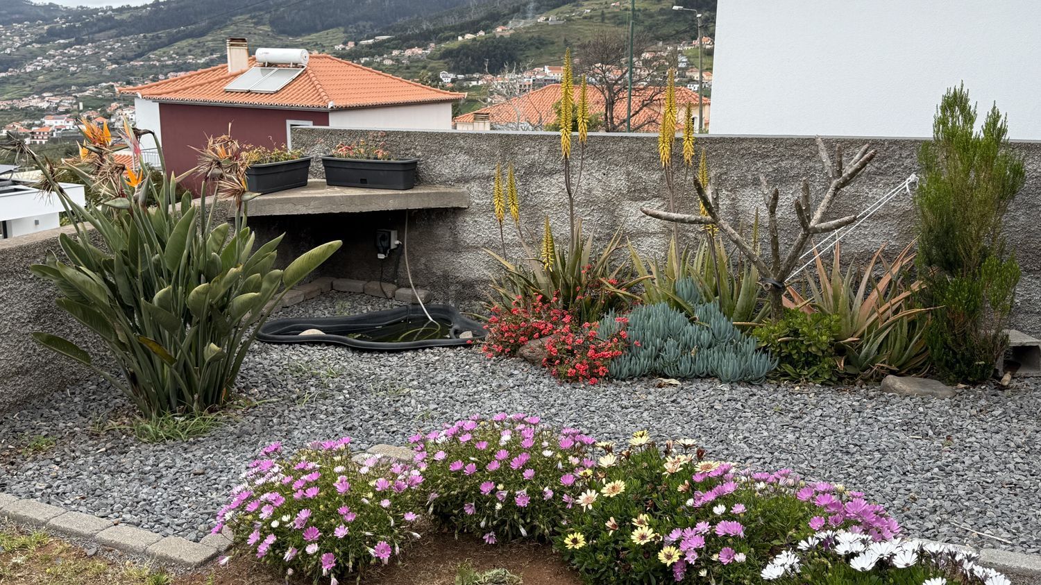 小楼房或独栋别墅出售在Arco da Calheta - 外立面