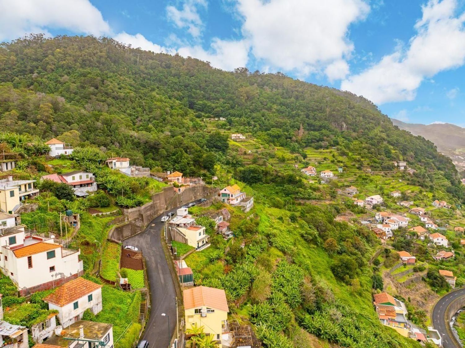 小楼房或别墅出售在Machico - 视线