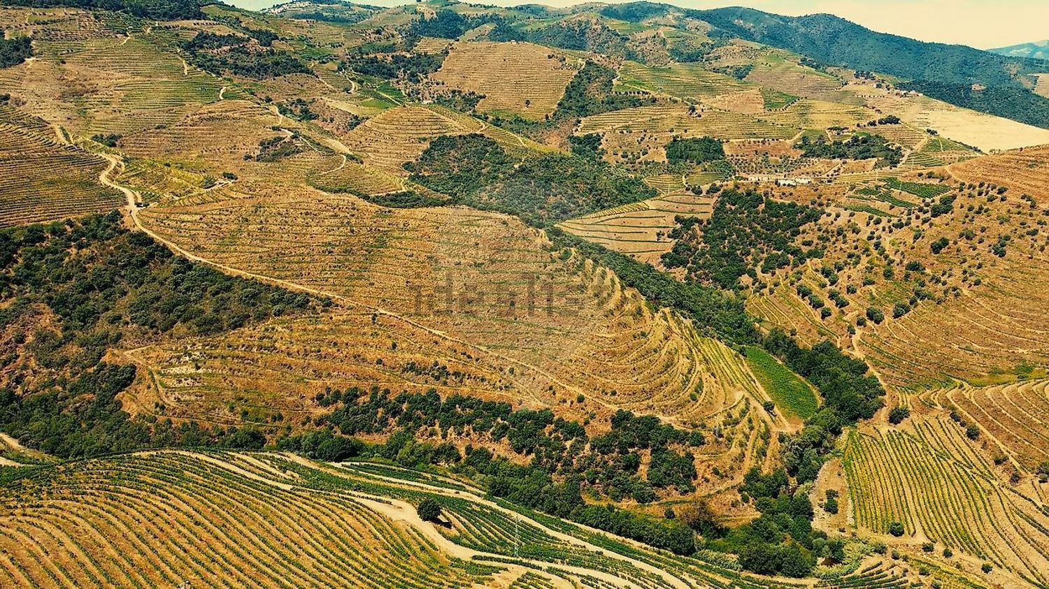 庄园出售在Bairro da Canelha - 视线