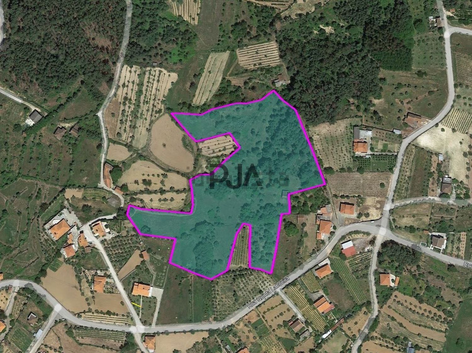 庄园出售Quinta Laboeira, 5 - 照片
