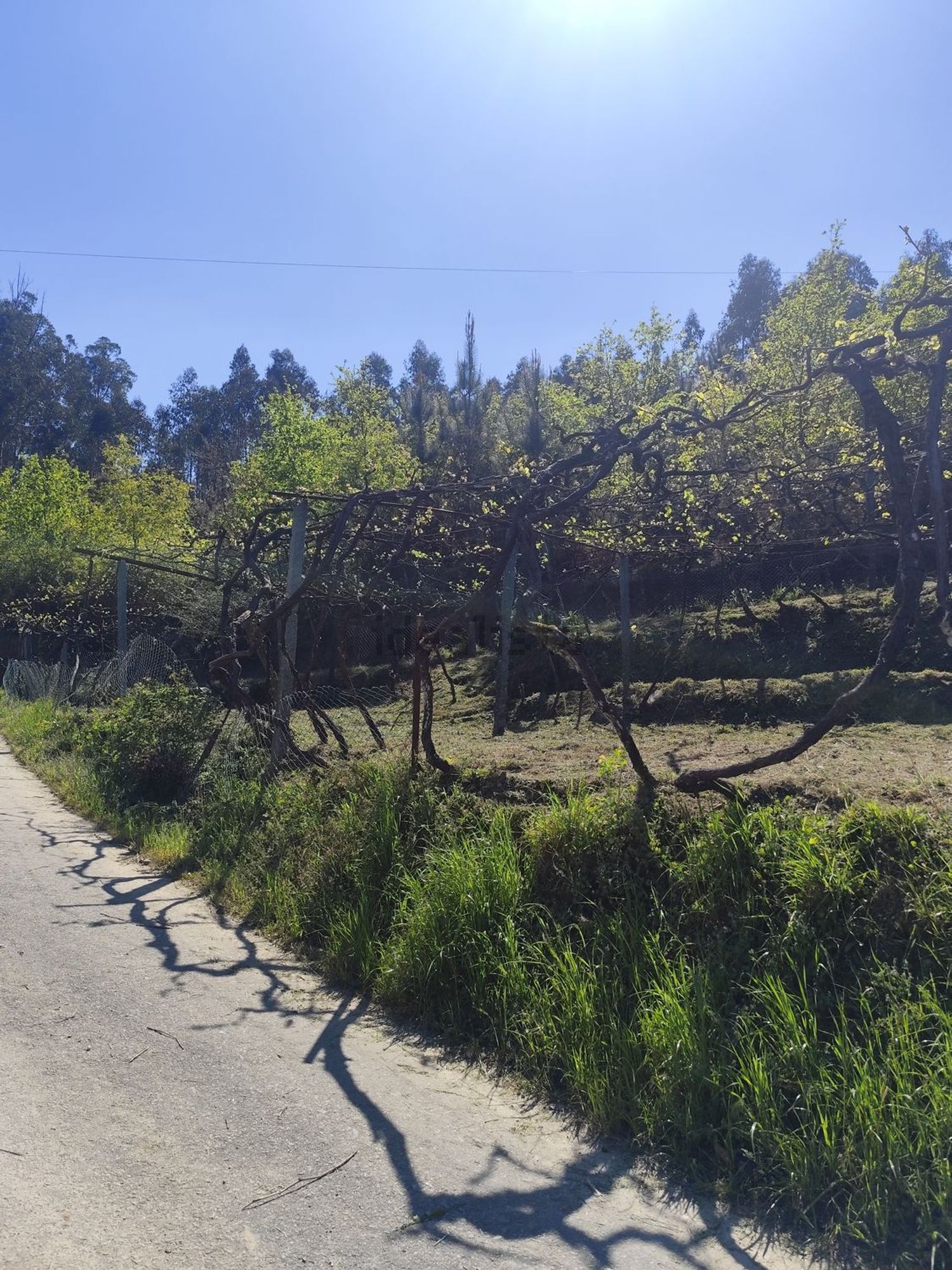 小楼房或独栋别墅出售在Rua de Vilarinho de Baixo, 442 - 花园