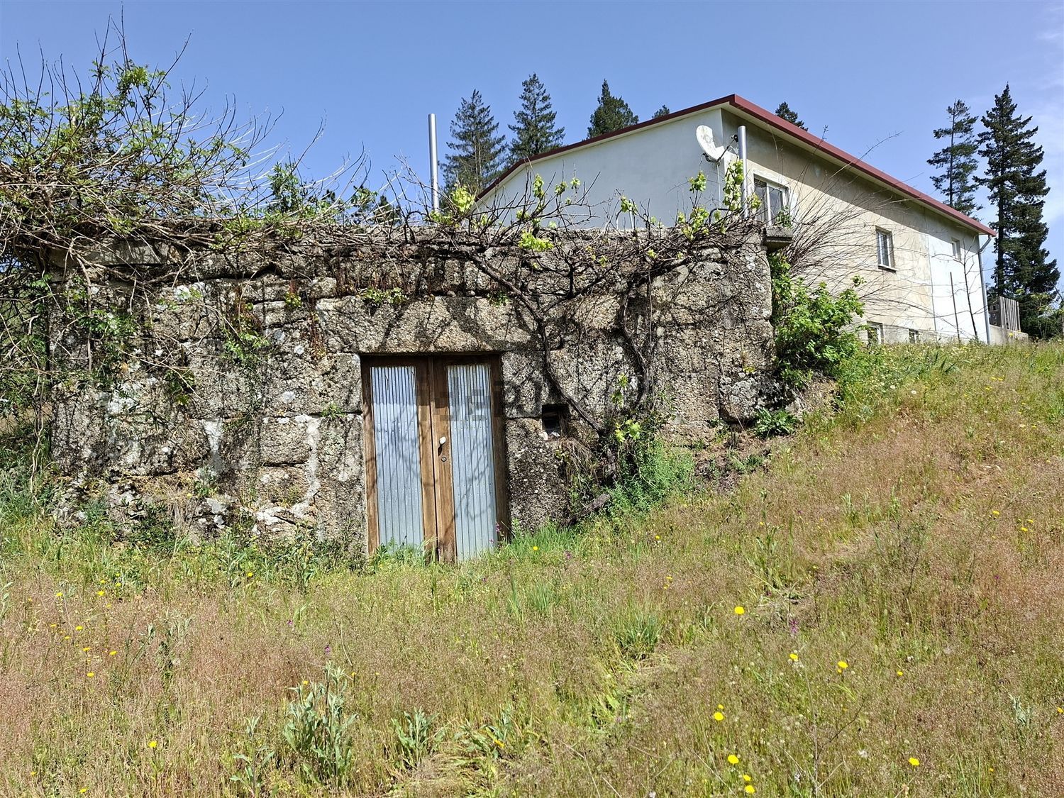 庄园出售在Estrada Sem Nome, 1 - 外立面