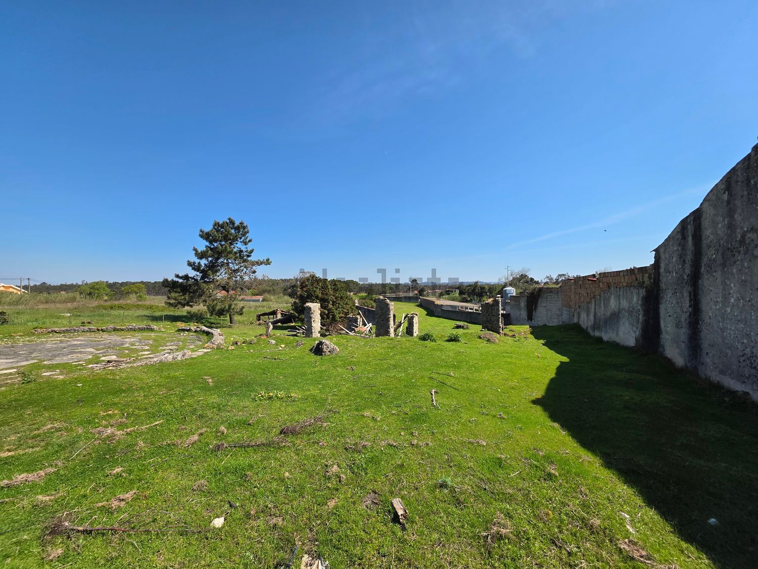 庄园出售在Santo Onofre e Serra do Bouro - 花园