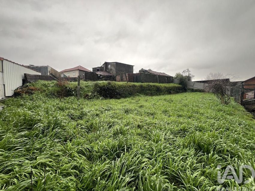 小楼房或独栋别墅出售在Campo e Sobrado