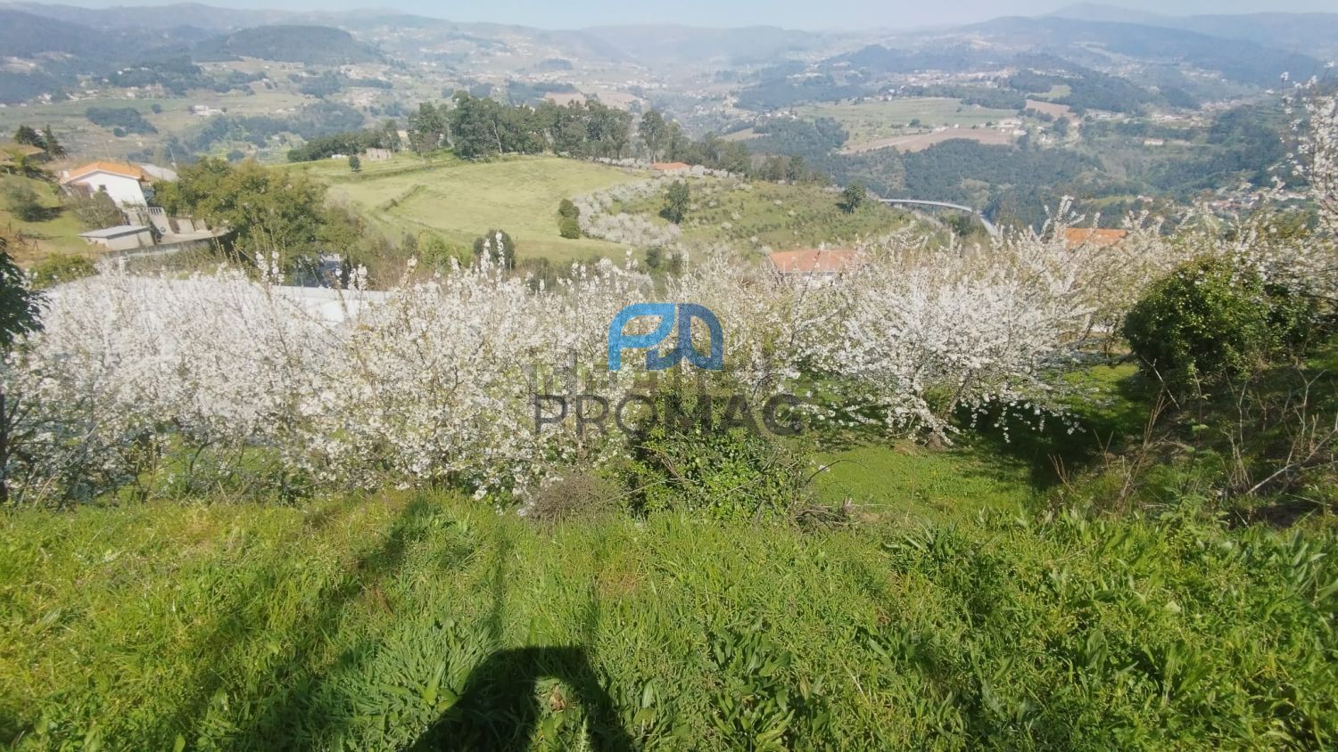 庄园出售在Barrô - 视线