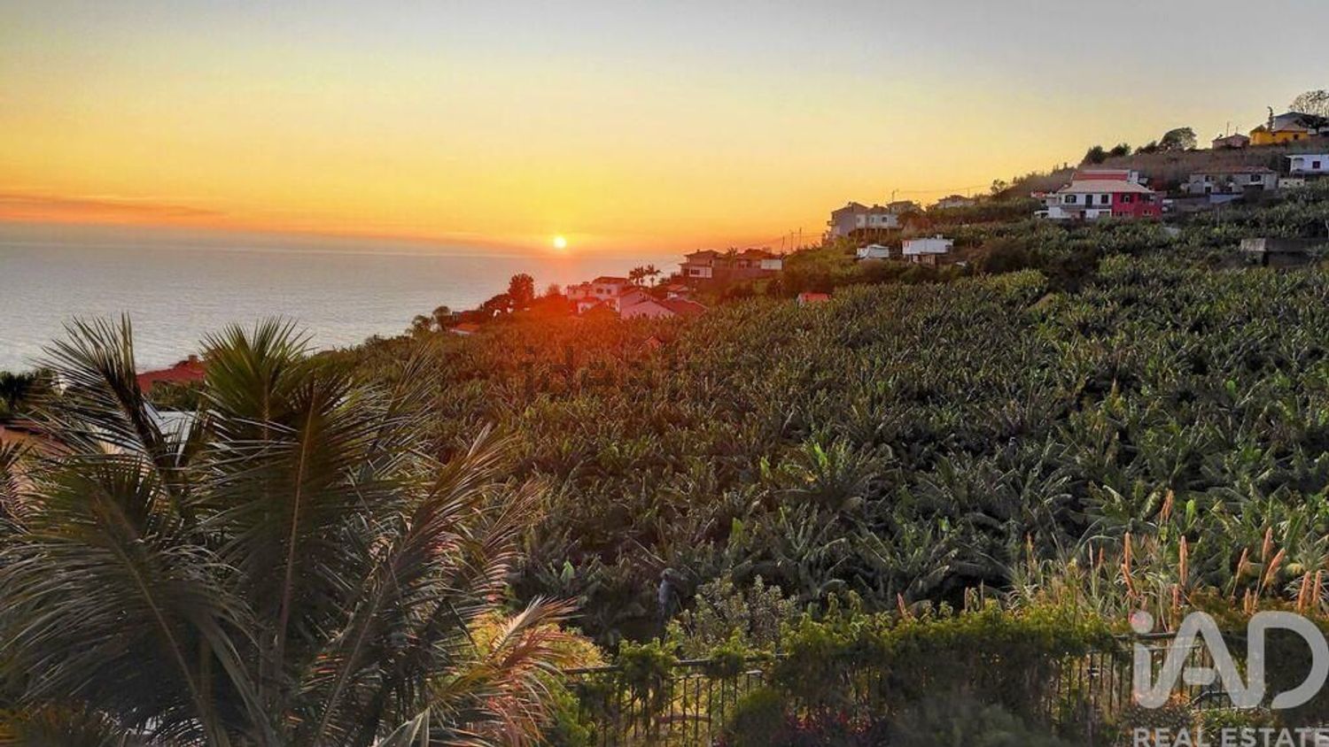 小楼房或独栋别墅出售在Arco da Calheta - 视线