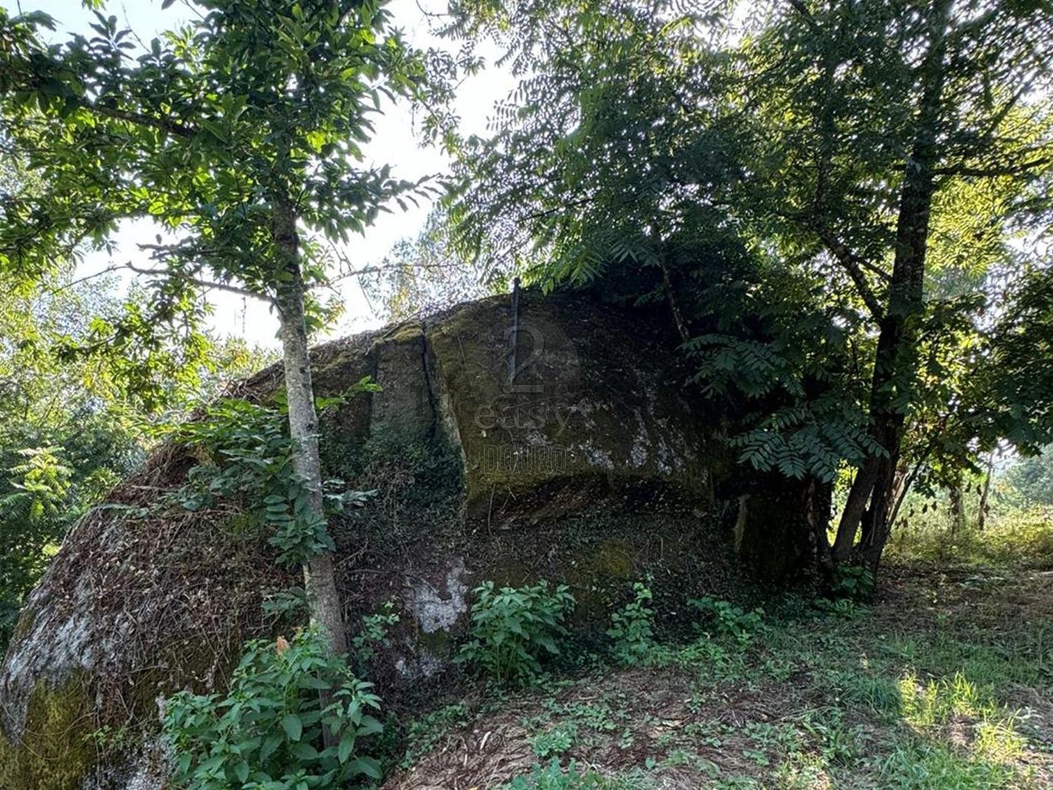 庄园出售在Rua Costa Grande de Cima, 100 - 花园