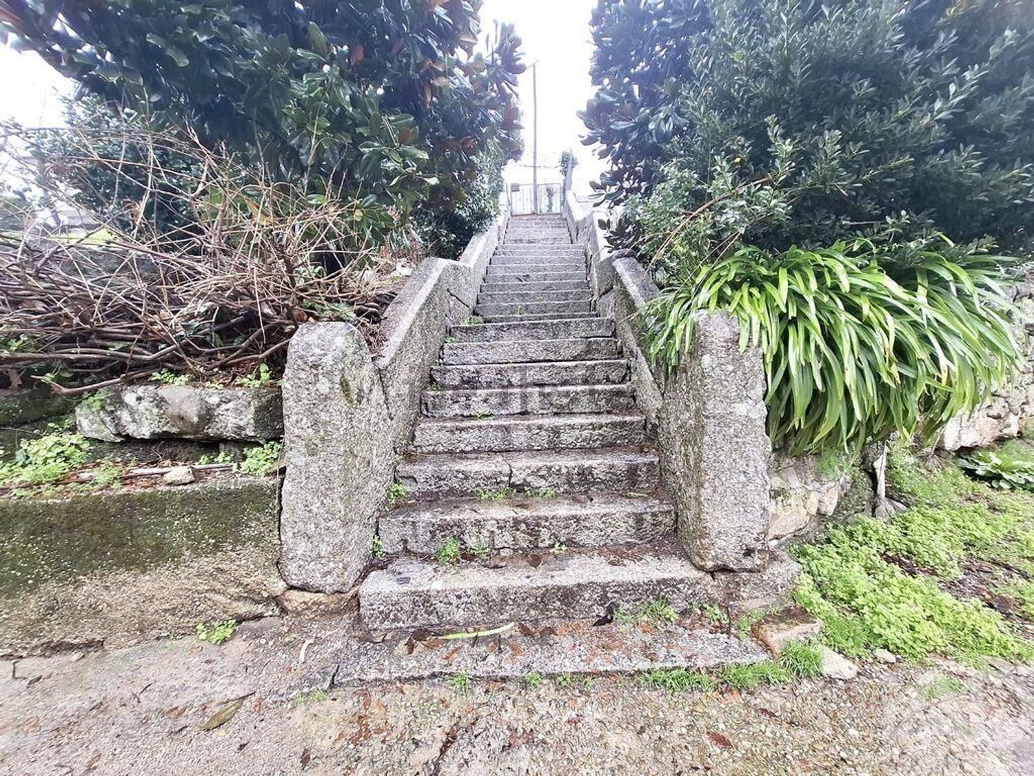 庄园出售在Fafe - 详情