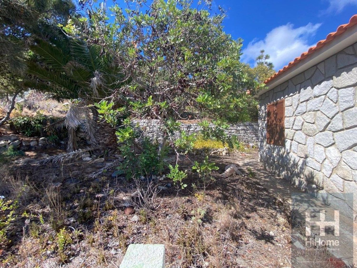 小楼房或独栋别墅出售在Porto Santo - 外立面