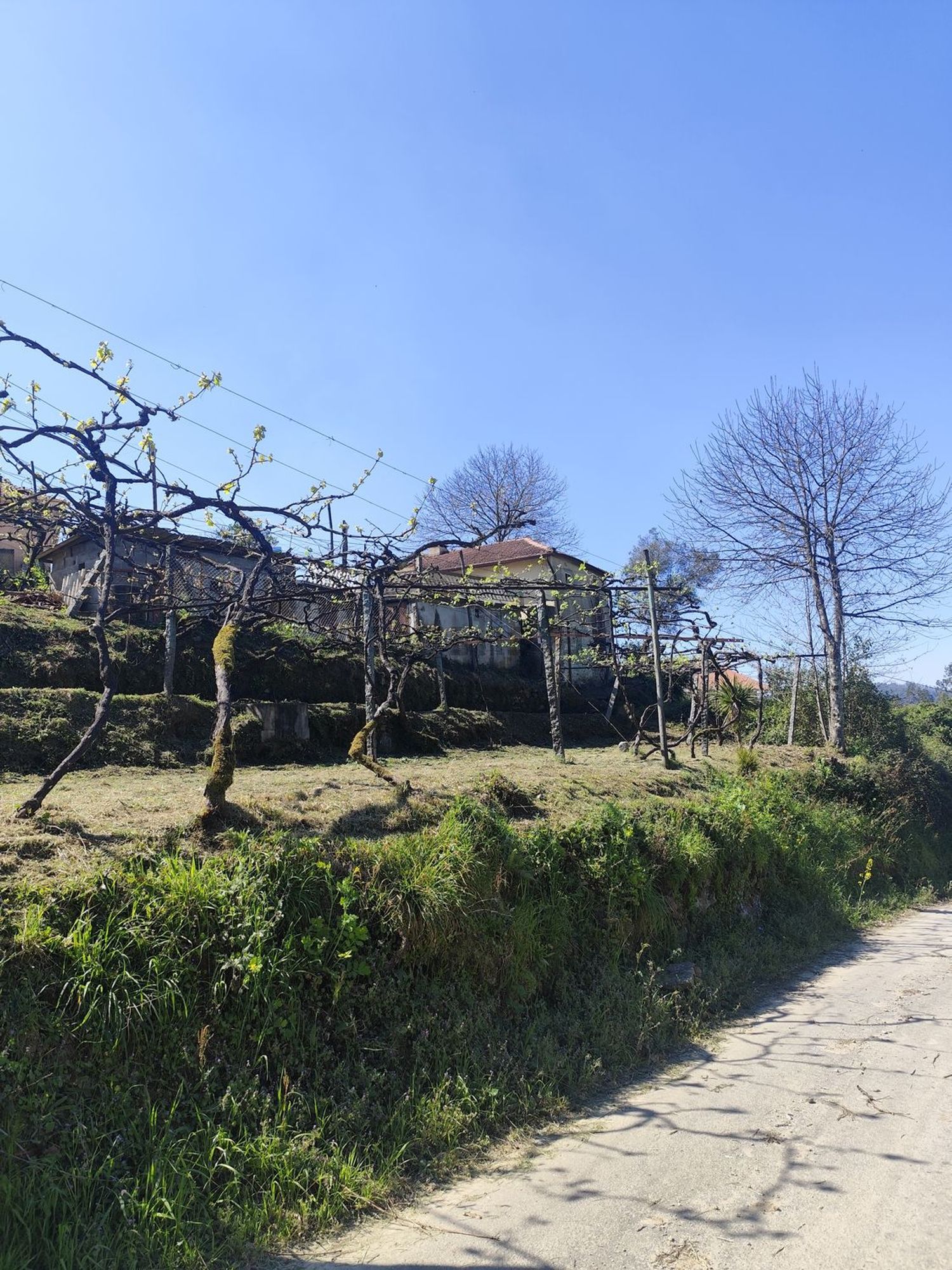 小楼房或独栋别墅出售在Rua de Vilarinho de Baixo, 442 - 花园