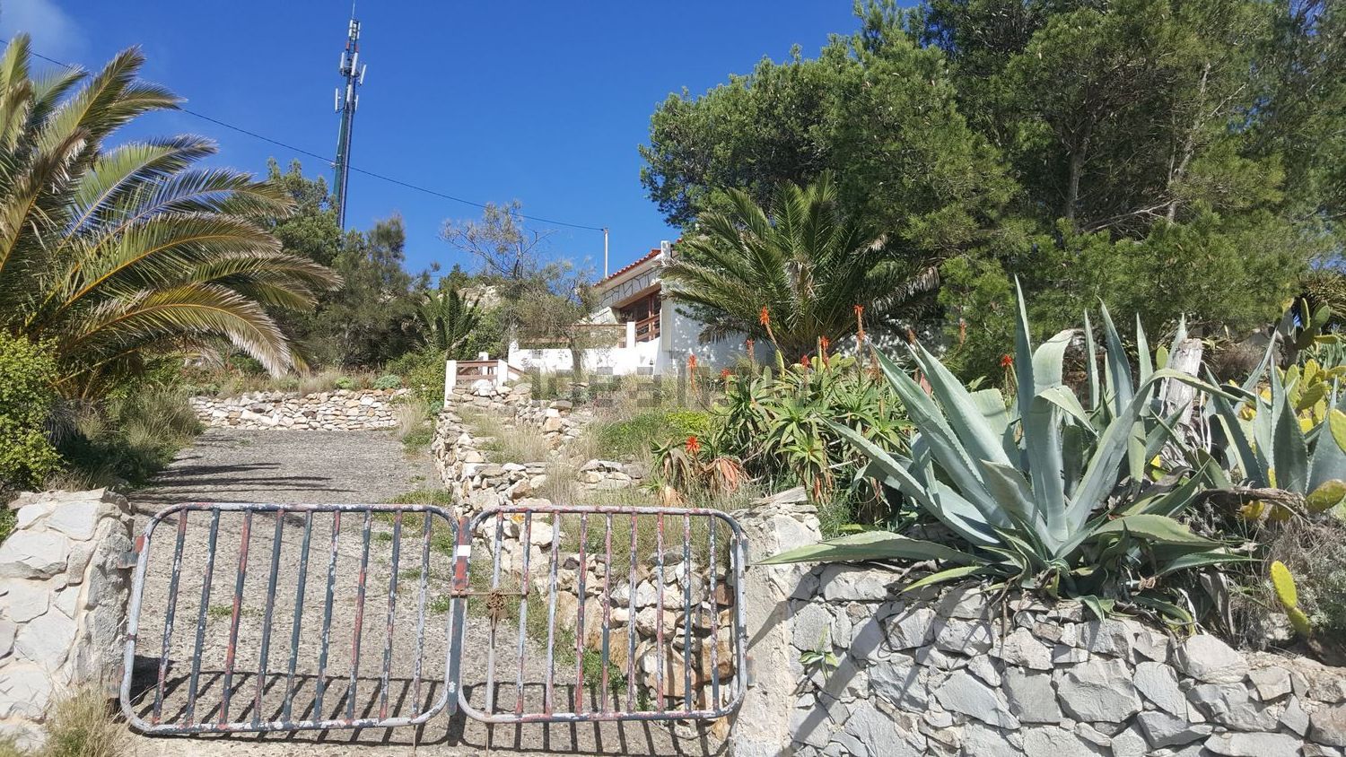 小楼房或独栋别墅出售在Porto Santo - 花园