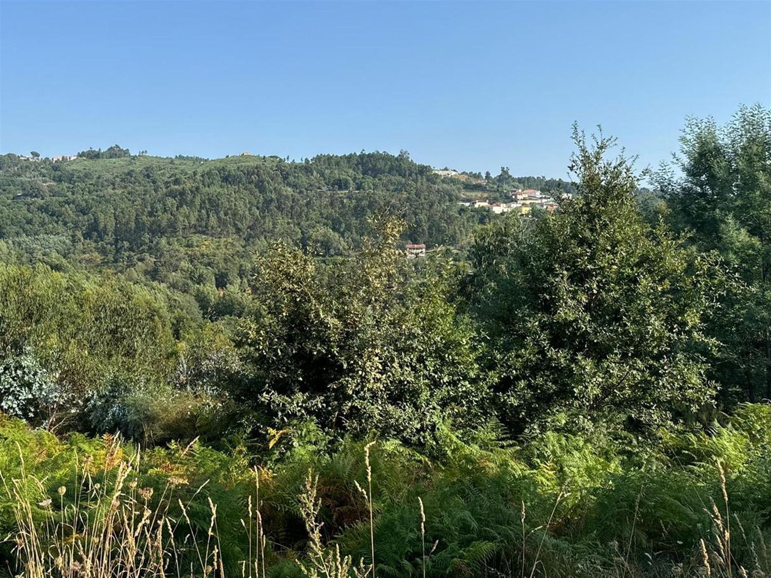 庄园出售在Rua Costa Grande de Cima, 100 - 视线