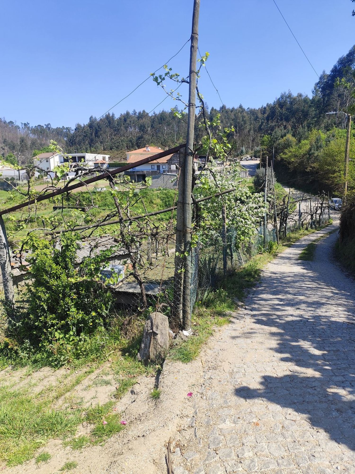 小楼房或独栋别墅出售在Rua de Vilarinho de Baixo, 442 - 花园