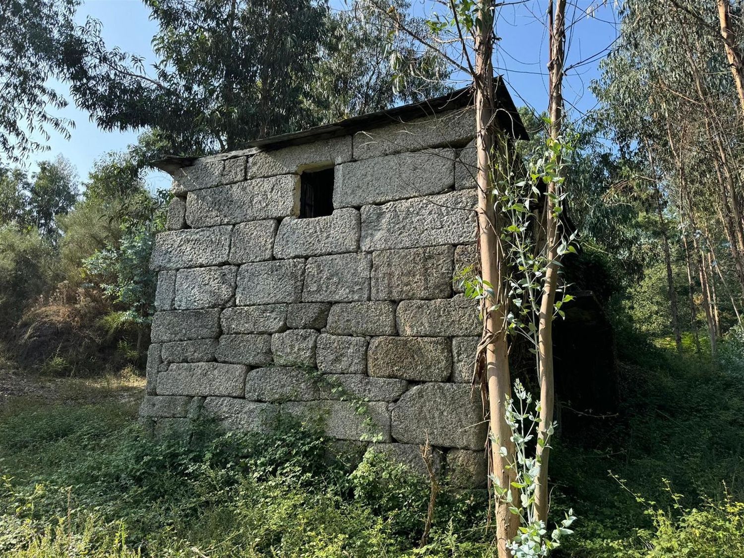 庄园出售在Rua Costa Grande de Cima, 100 - 花园