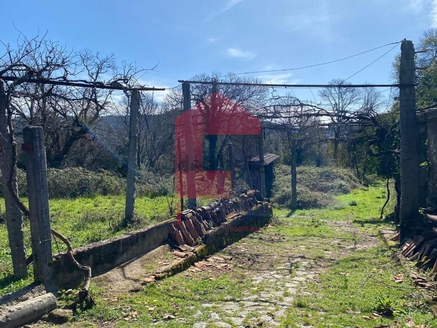 小楼房或别墅出售在Ribeira do Neiva - 花园