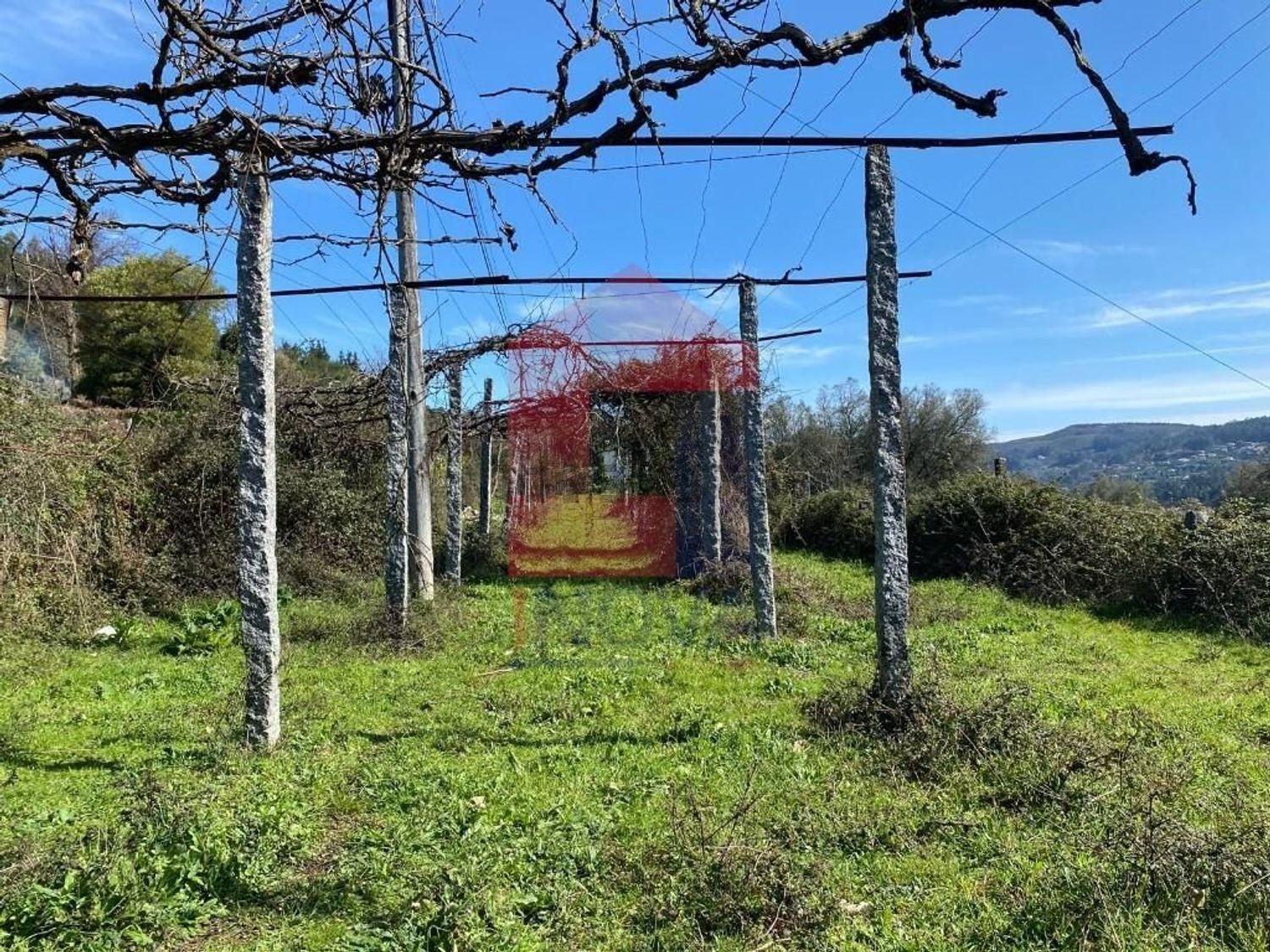 小楼房或别墅出售在Ribeira do Neiva - 照片