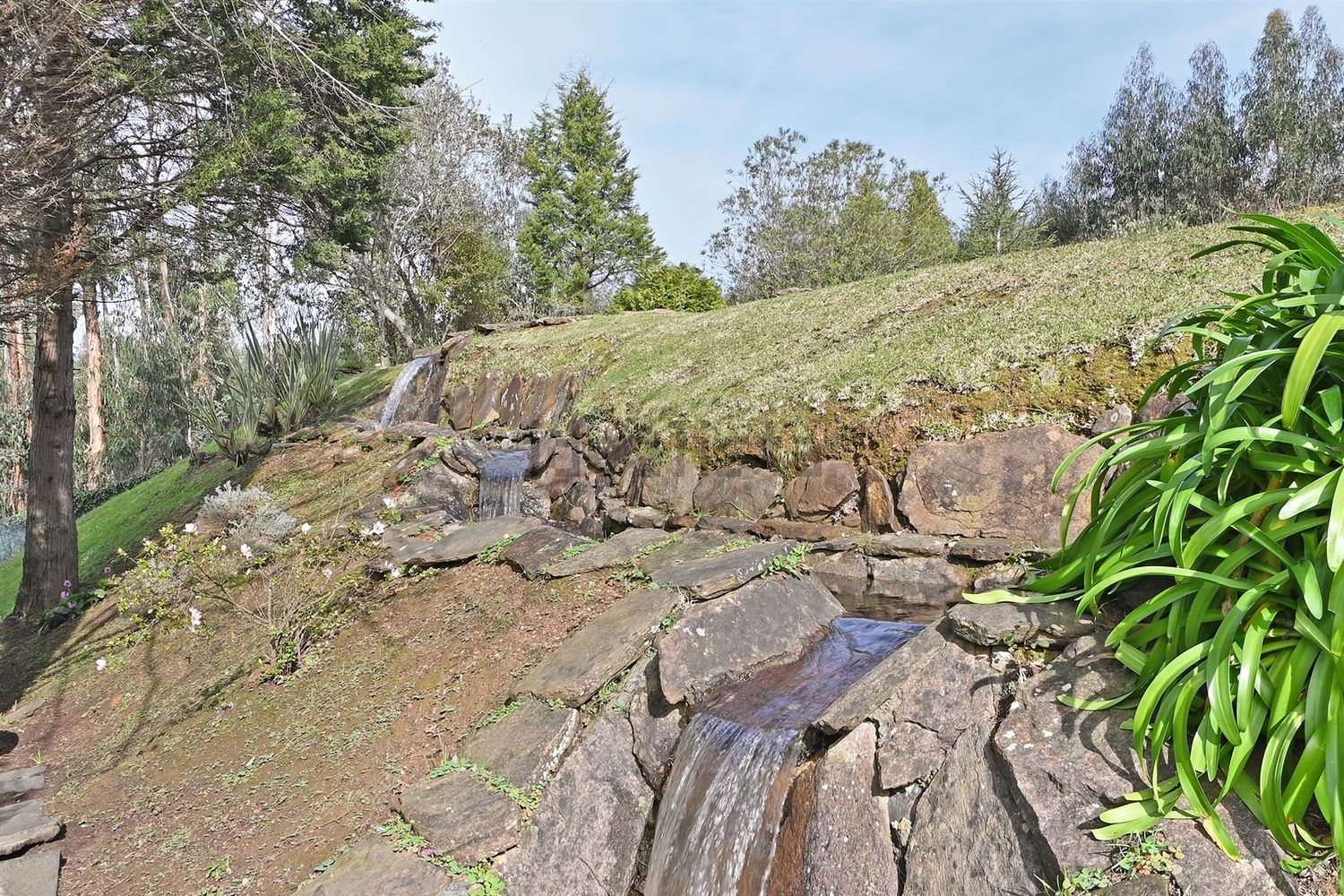 小楼房或独栋别墅出售在Rua Cavada, 250 - 花园