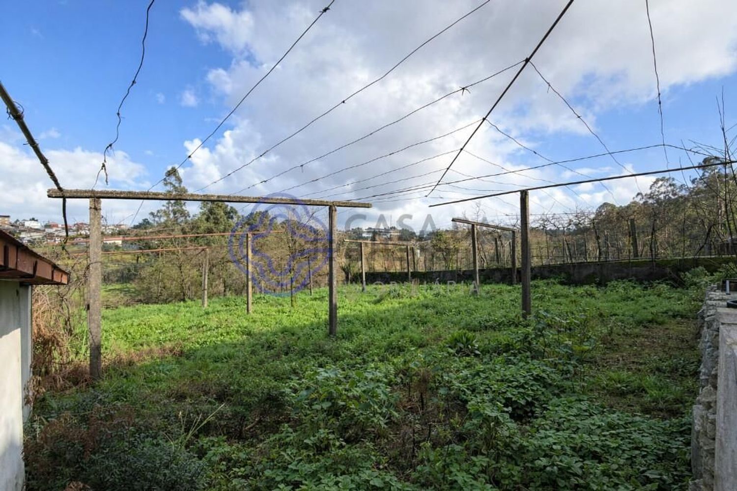 双拼别墅出售在Campo e Sobrado - 花园