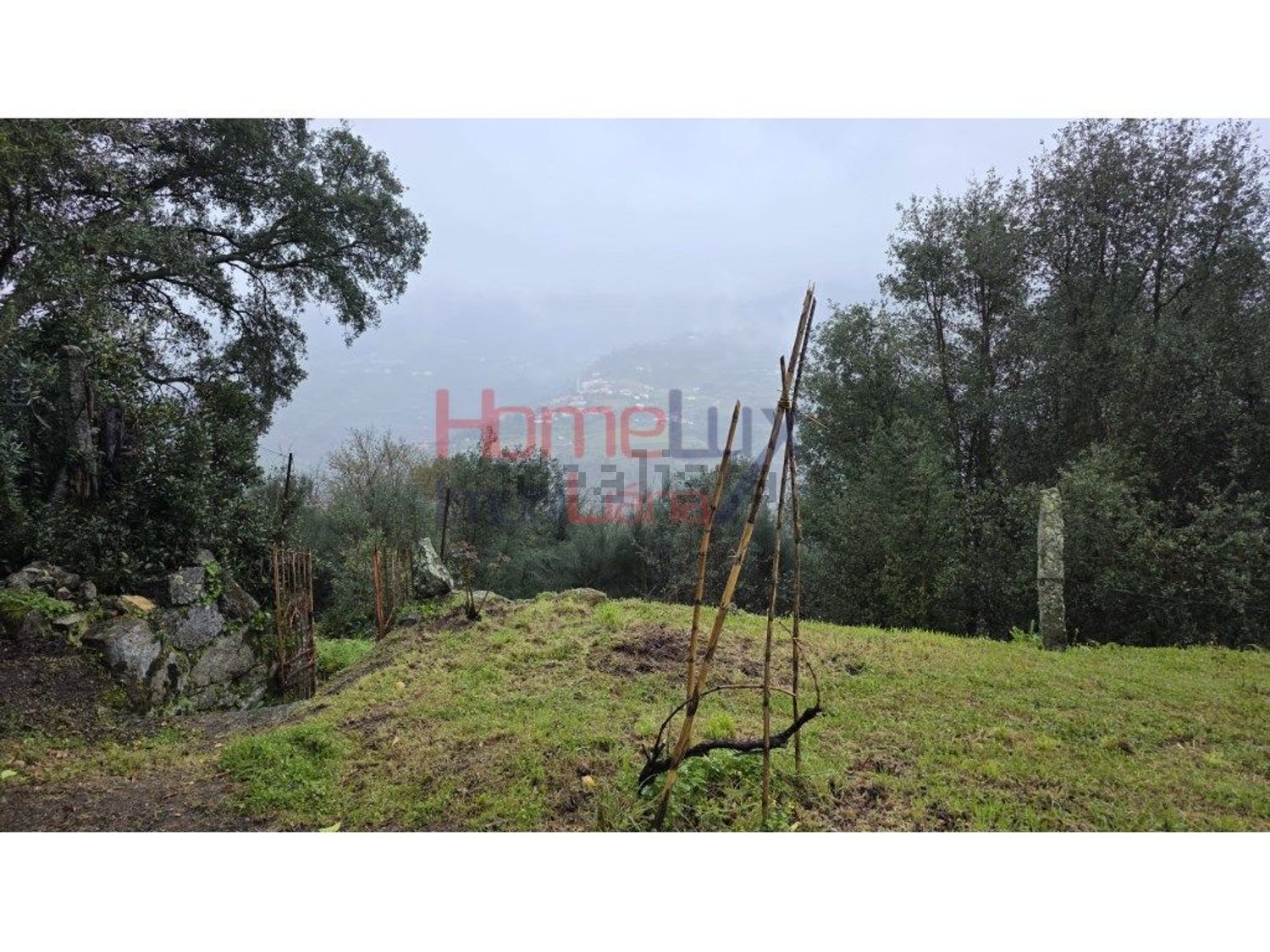 小楼房或独栋别墅出售在 Frende - 花园