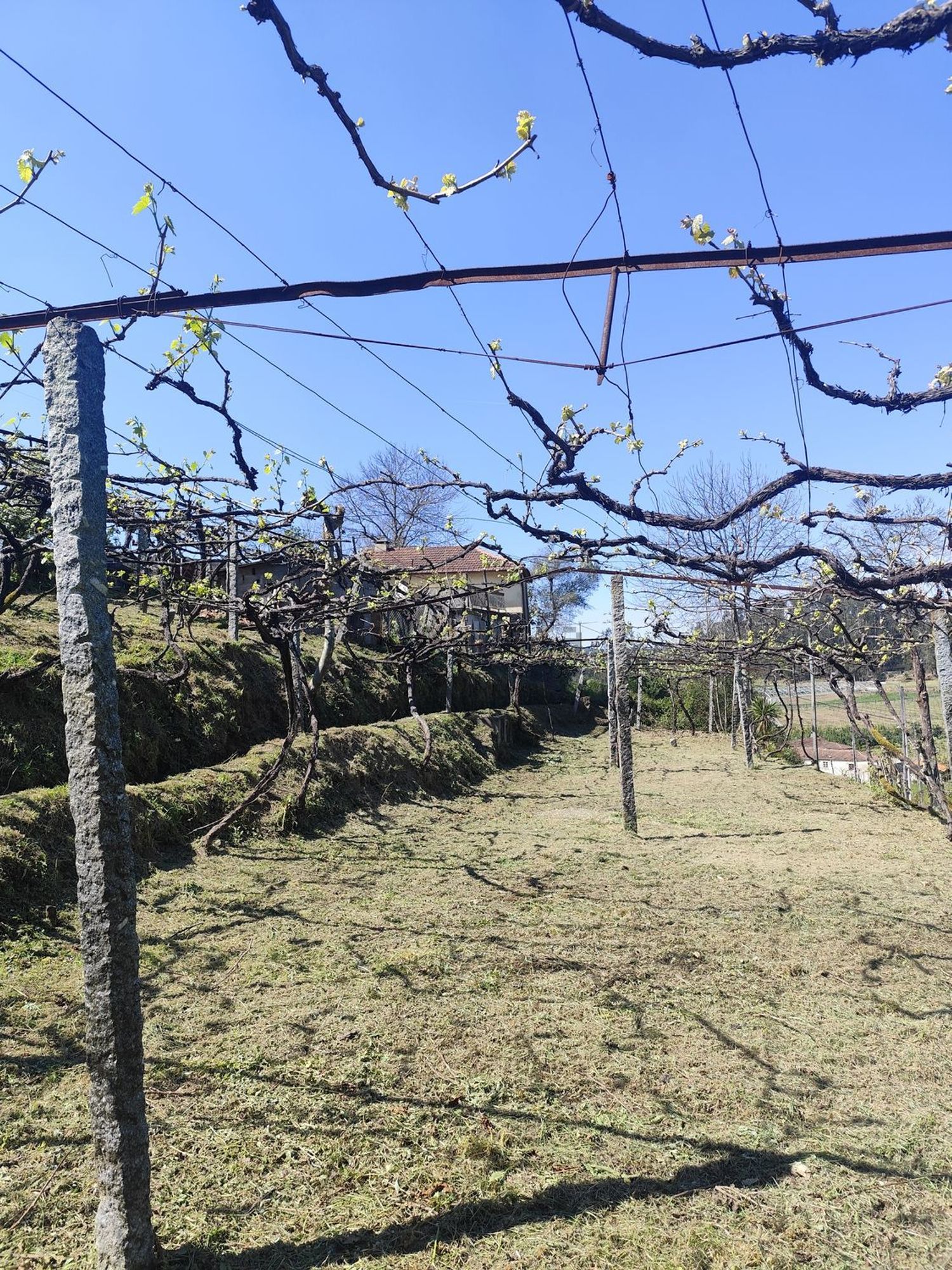 小楼房或独栋别墅出售在Rua de Vilarinho de Baixo, 442 - 花园