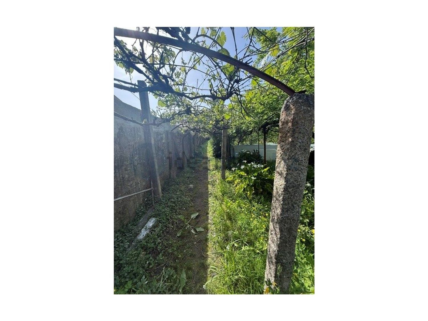 小楼房或独栋别墅出售在Rua de Recarei - 花园